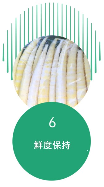 保鲜